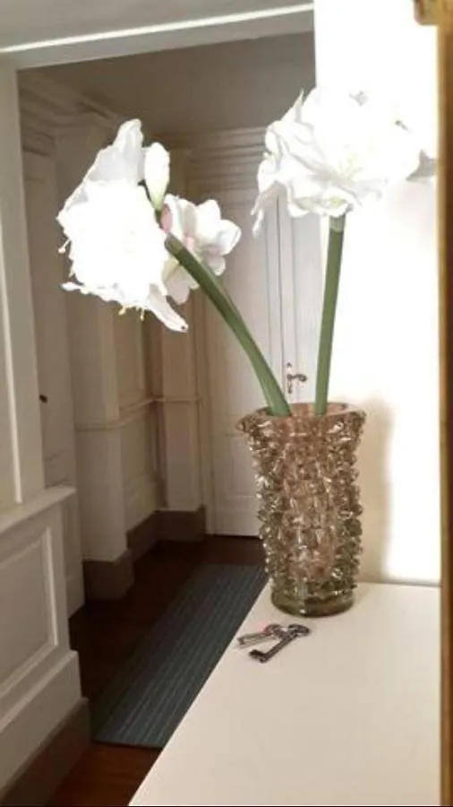 Ghibellina Apartment Florence Italy